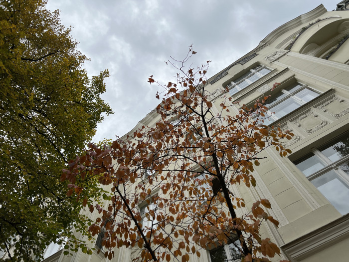Das iPhone 13 Pro macht im direkten Vergleich ein weniger gut belichtetes Foto. (Bild: Tobias Költzsch/Golem.de)